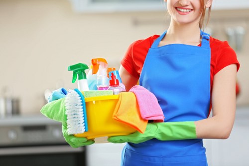 Professional carpet cleaning in a Thornton Heath living room