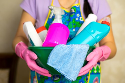 Local pet stain and odour cleaning for upholstery in Thornton Heath