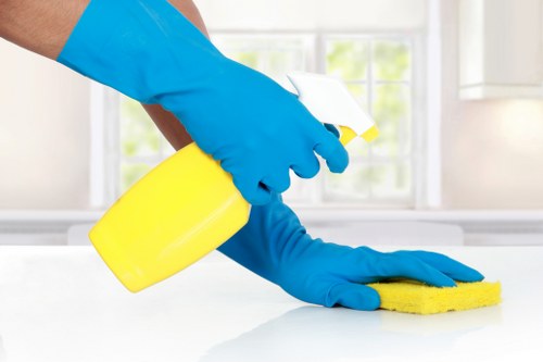 Professional steam carpet cleaning in Thornton Heath for fresher carpets