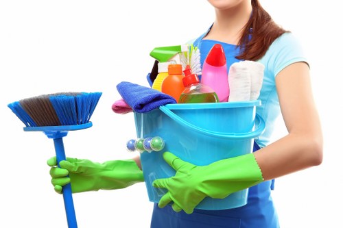 Steam cleaning equipment used for Thornton Heath carpets