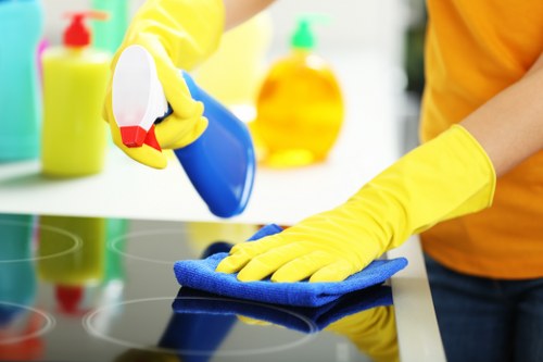 Benefits of steam carpet cleaning for homes in Thornton Heath