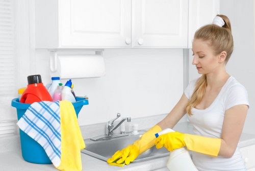 Safe carpet cleaning setup in a Thornton Heath home
