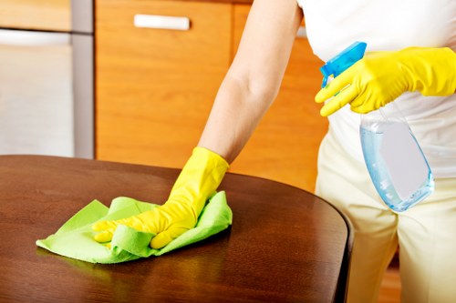 Final policy review with safe carpet cleaning practices